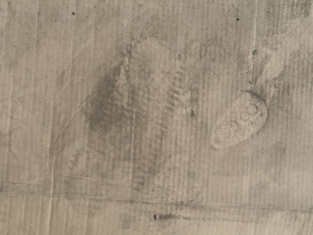 Top Paper Texture